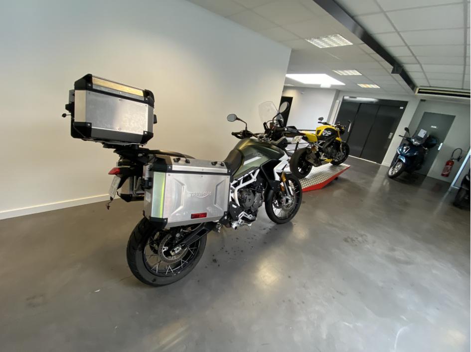 TRIUMPH TIGER 900 RALLY